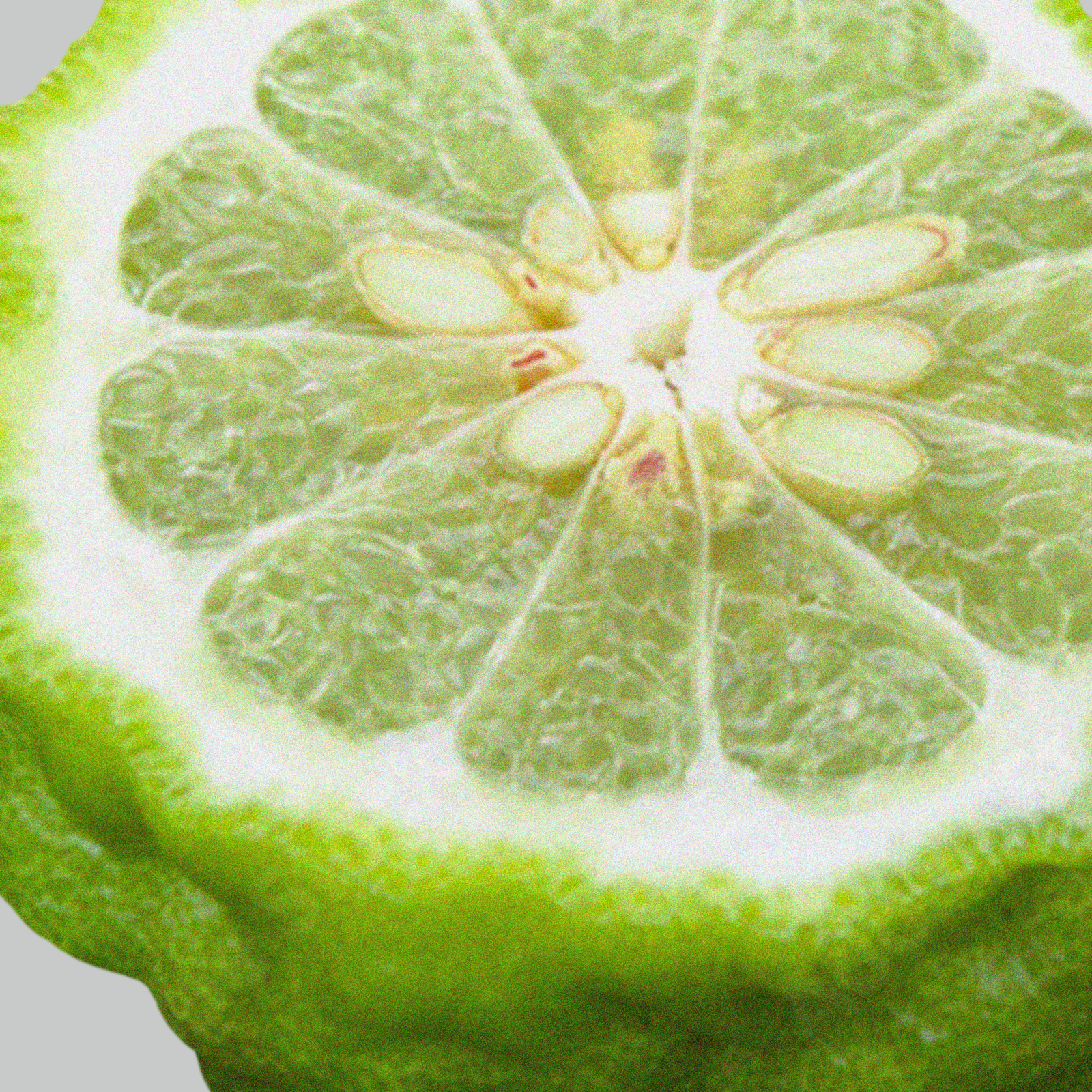 Welcoming Laundry Detergent Strips - 3 Strip Sample Pack