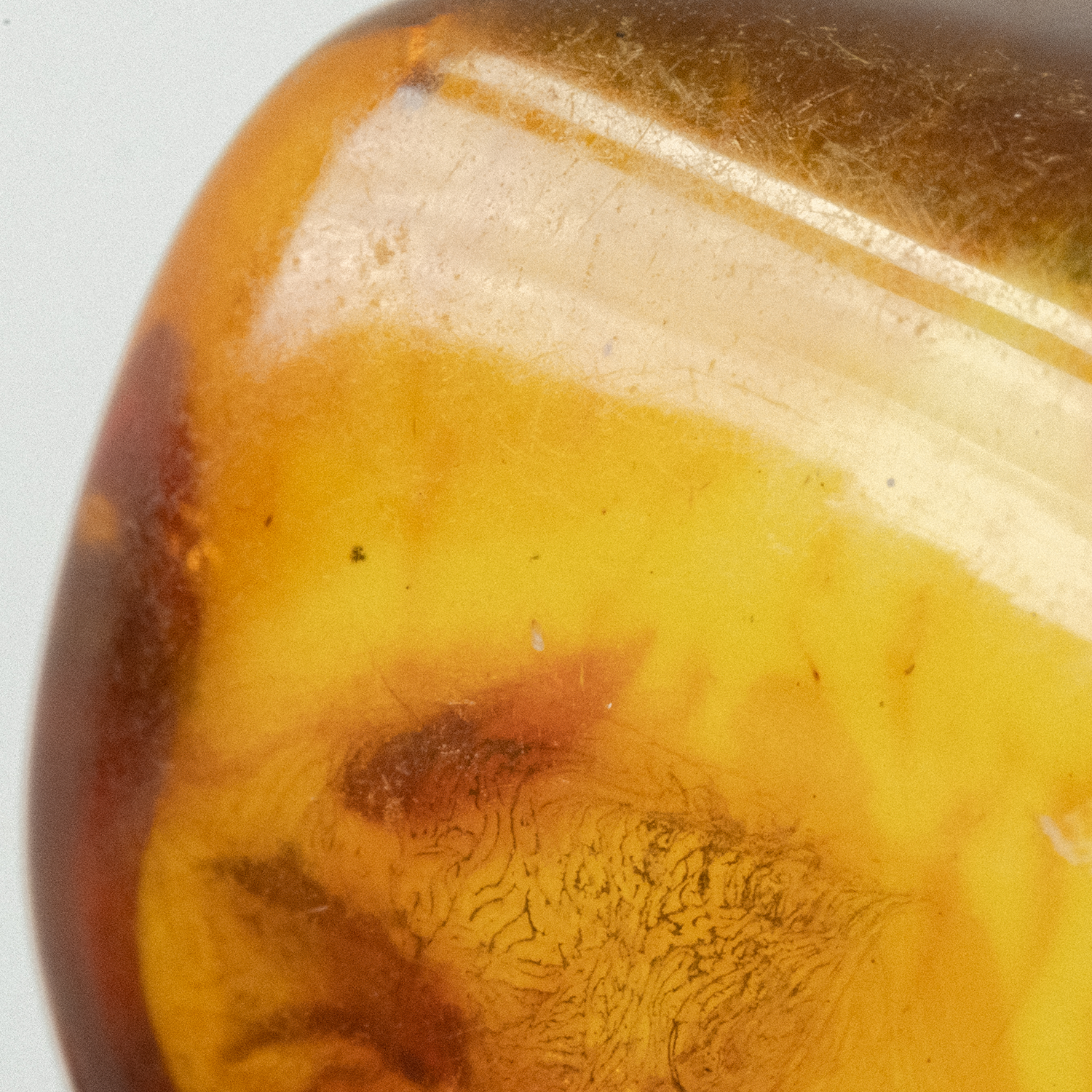 Energising Laundry Detergent Strips 32 Loads