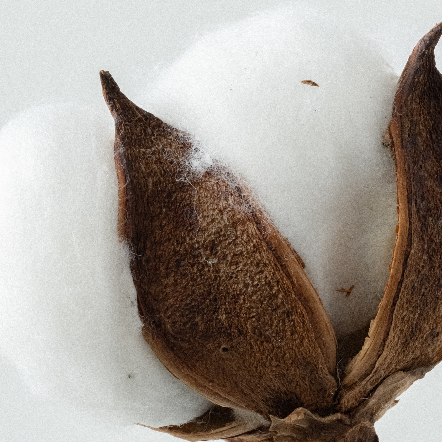 Relaxing Laundry Detergent Strips 32 loads