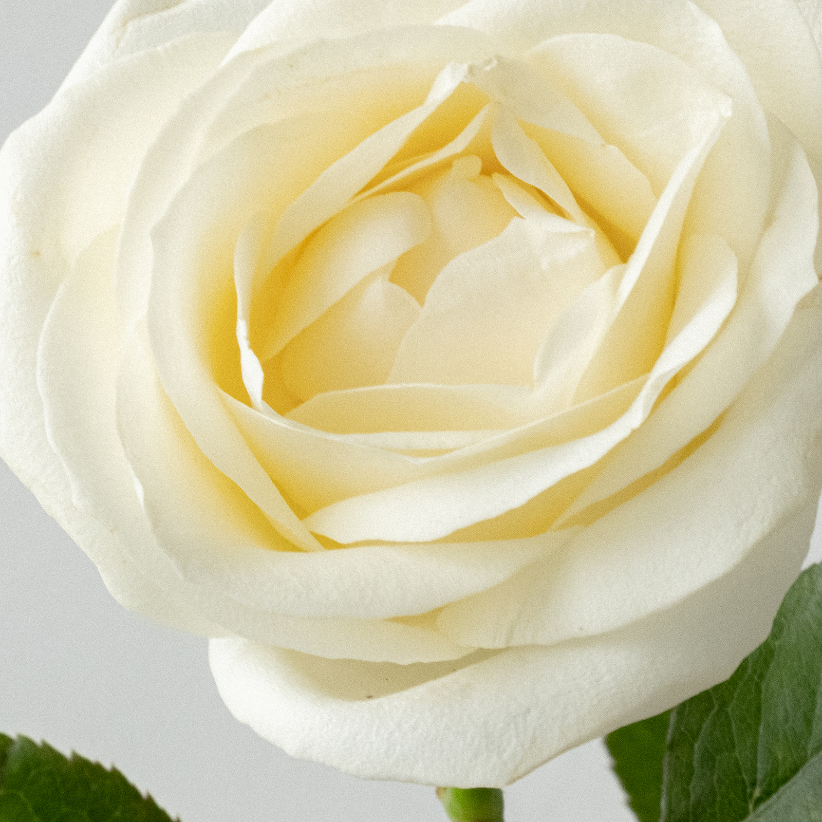 Soothing Laundry Detergent Strips 64 Loads