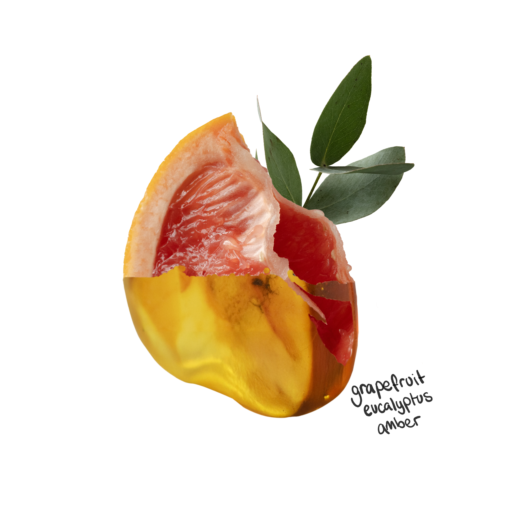 Household Cleaning Bundle - Energising Fragrance