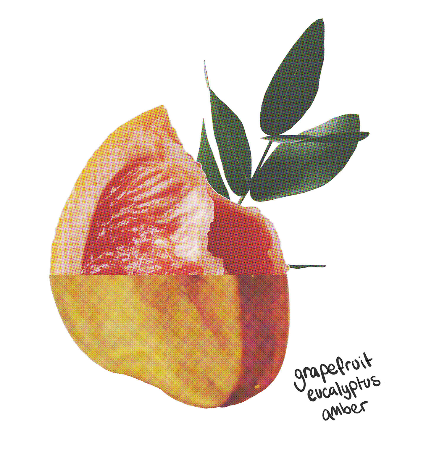 Energising Laundry Detergent Strips 64 loads