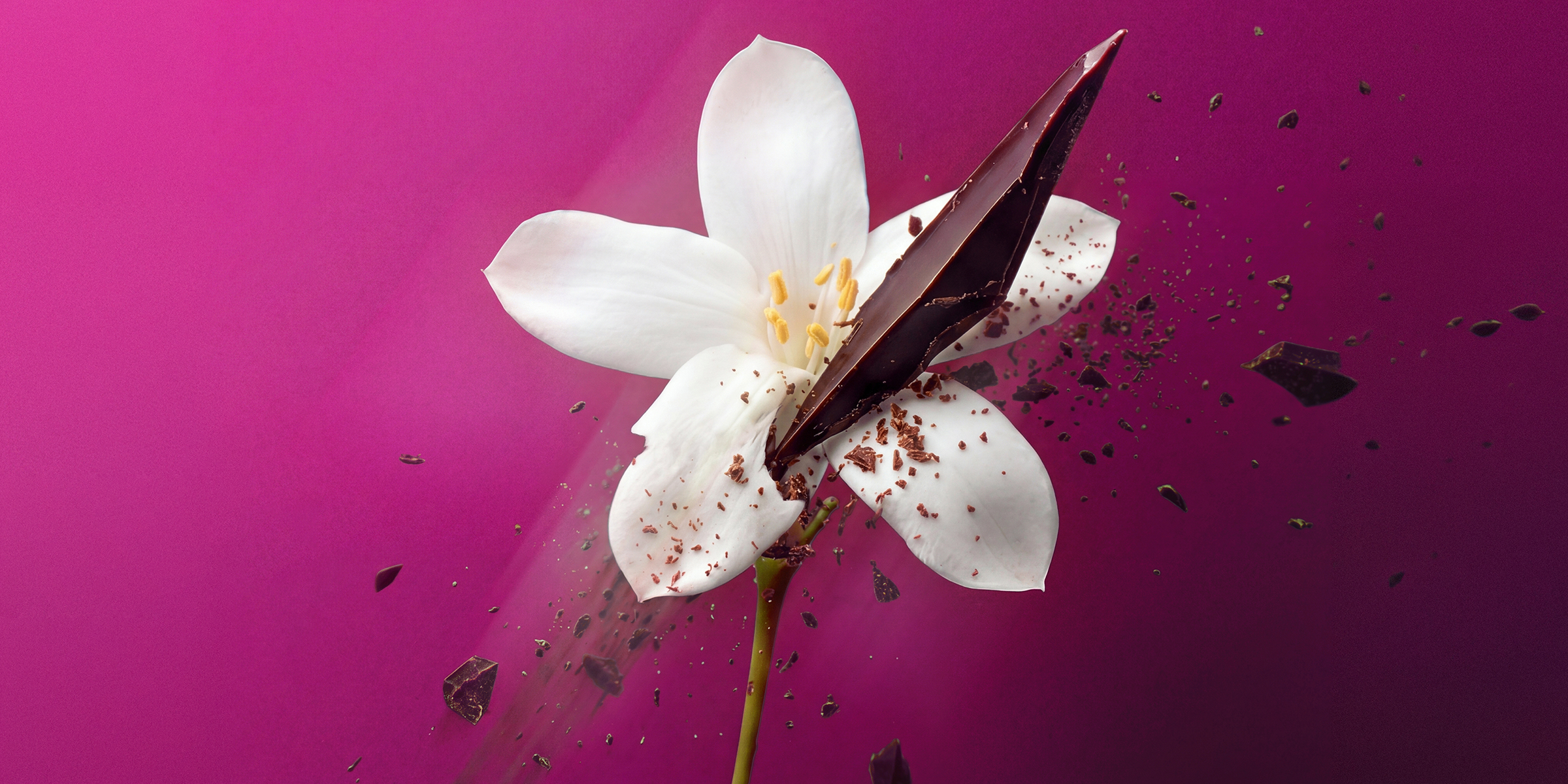 <s> Forbidden</s> Bloom Range