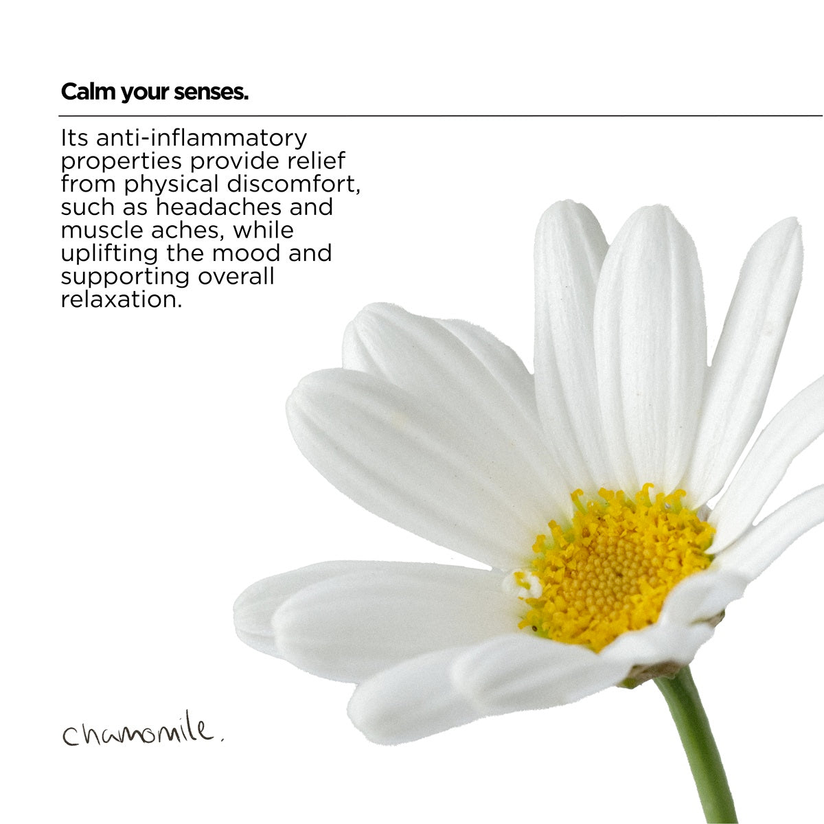 Soothing Laundry Detergent Strips - 3 Strip Sample Pack